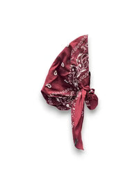 Cherie Pretied Bandana Print